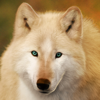 Char Avatar